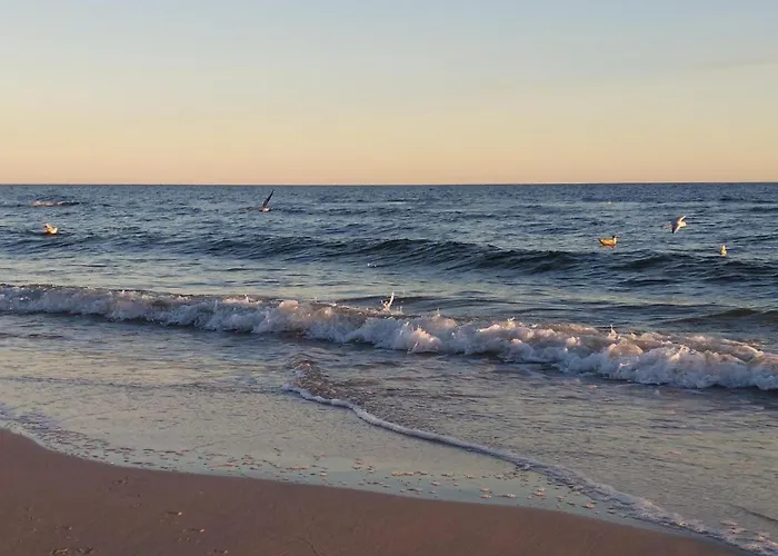 1 Bedroom In Dziwnów